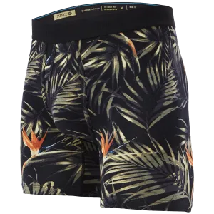 Men's Birdz Boxer Brief