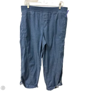 Pants Other By Chicos In Blue, Size: 10