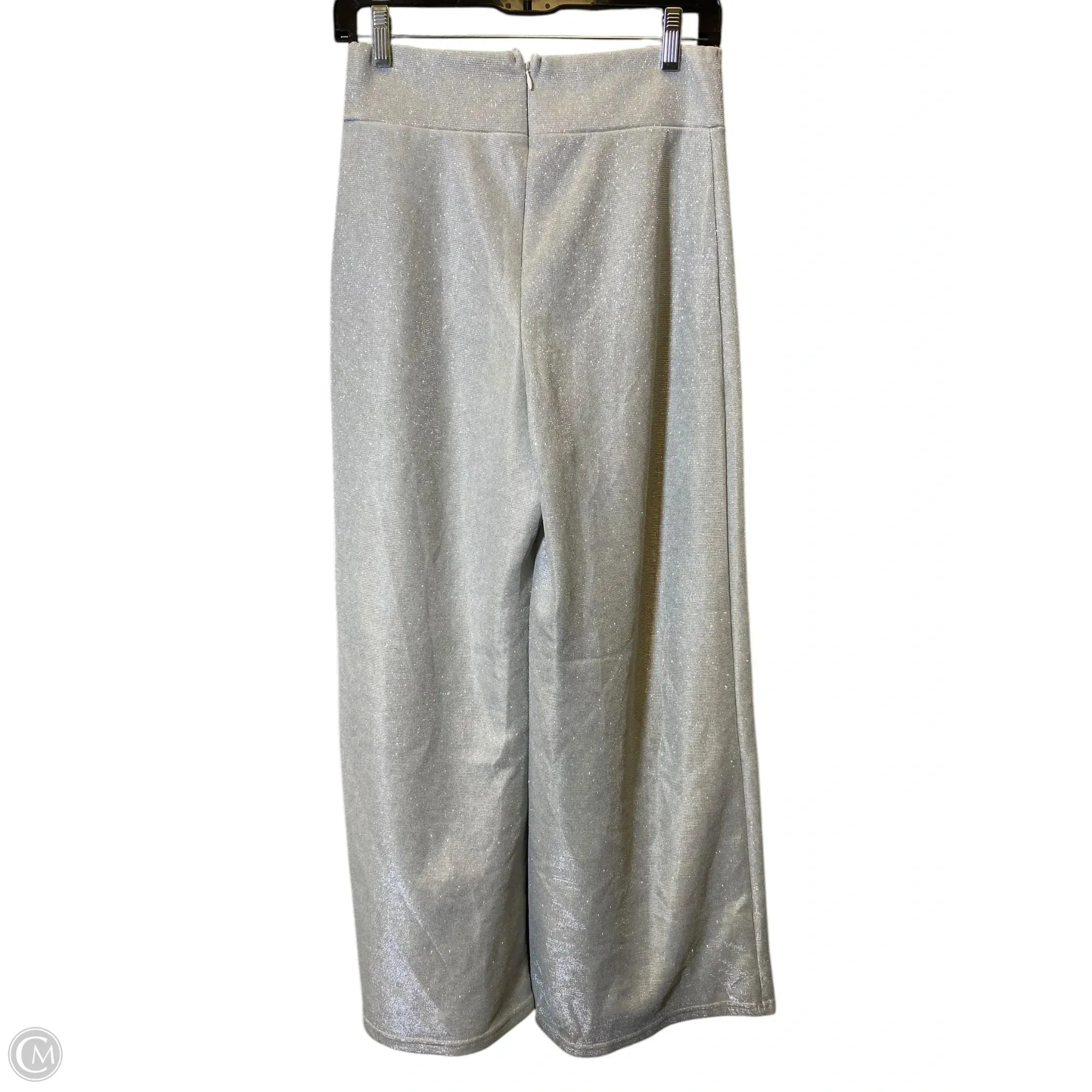 Pants Wide Leg By Cmc In Silver, Size: M